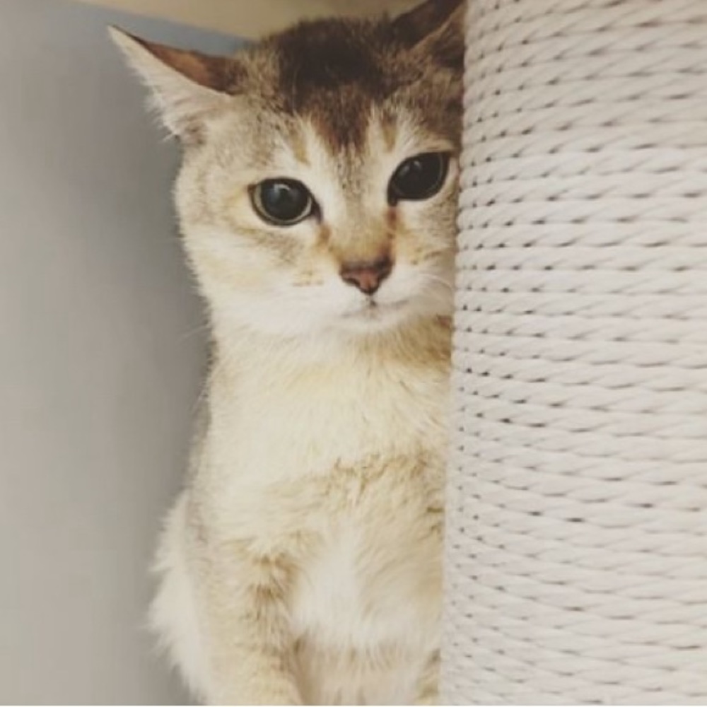 Meet your Posher, Ashley